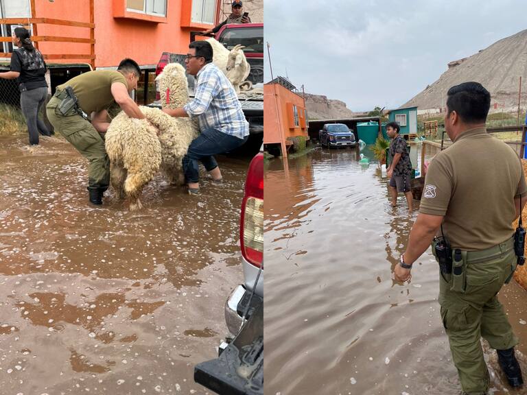 Inician evacuaciones en zonas de Calama tras crecida del río Loa