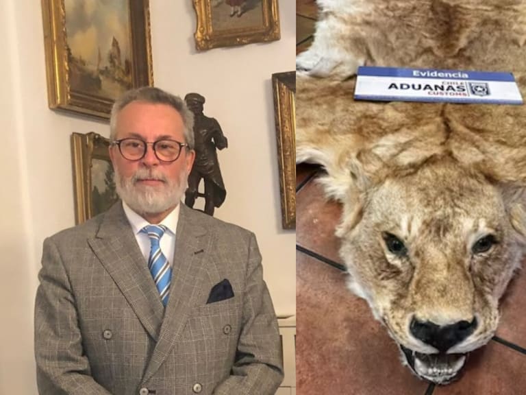 Formalizan a exembajador chileno Camilo Sanhueza por contrabando de pieles en calidad de autor
