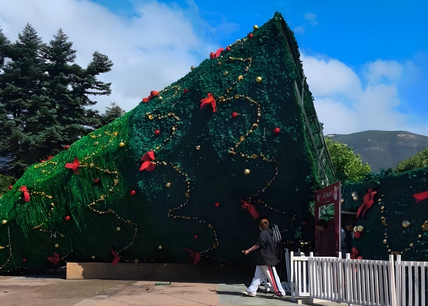 Árbol de Navidad en Plaza de Armas de Coyhaique