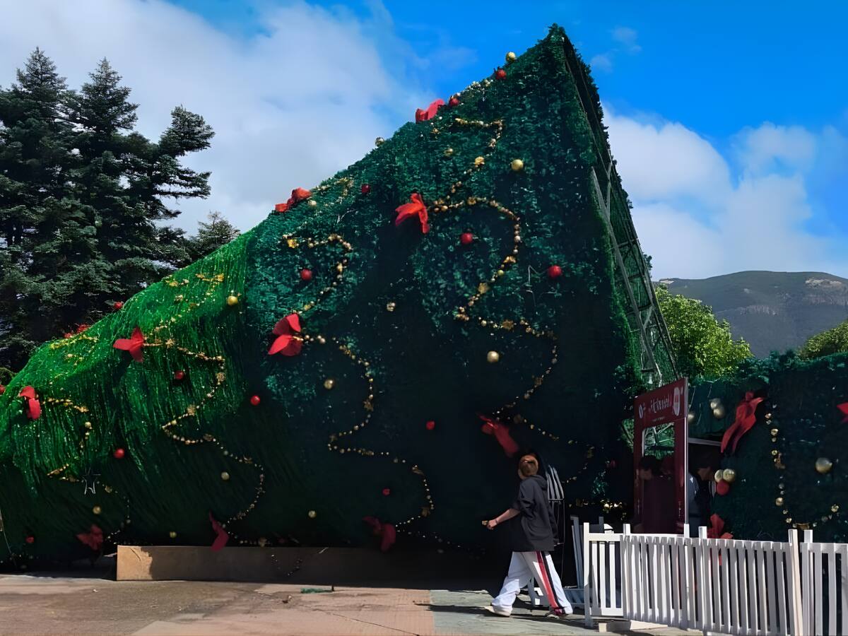 Árbol de Navidad de 25 metros se desploma en plena la Plaza de Armas de Coyhaique