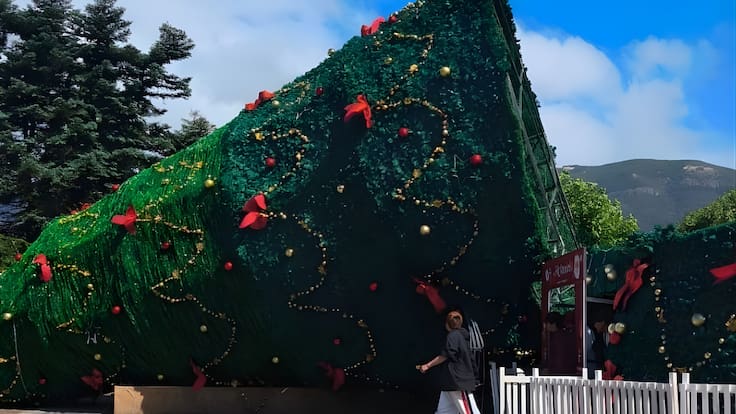 Árbol de Navidad de 25 metros se desploma en plena la Plaza de Armas de Coyhaique