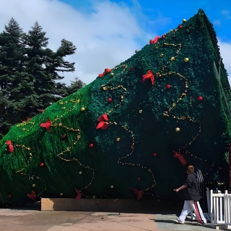 Árbol de Navidad de 25 metros se desploma en plena la Plaza de Armas de Coyhaique