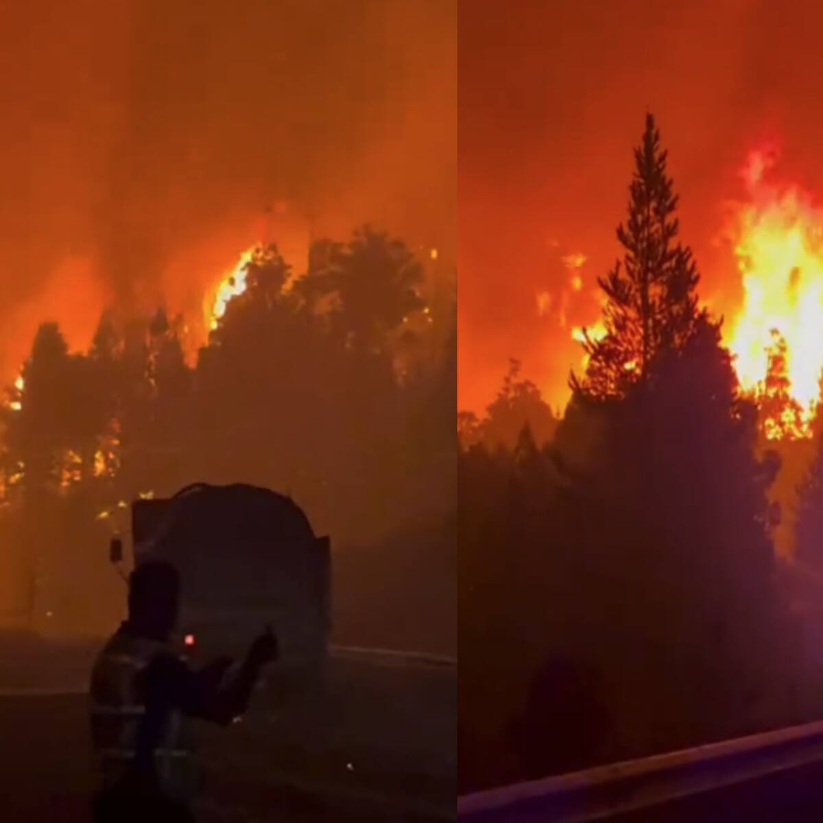 Incendios en la Patagonia de Argentina ya han consumido 15.000 hectáreas