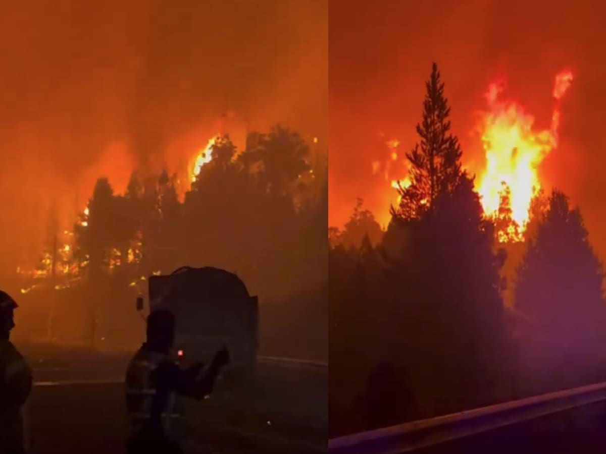 Incendios en la Patagonia de Argentina ya han consumido 15.000 hectáreas