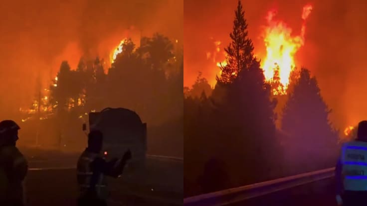 Incendios en la Patagonia de Argentina ya han consumido 15.000 hectáreas