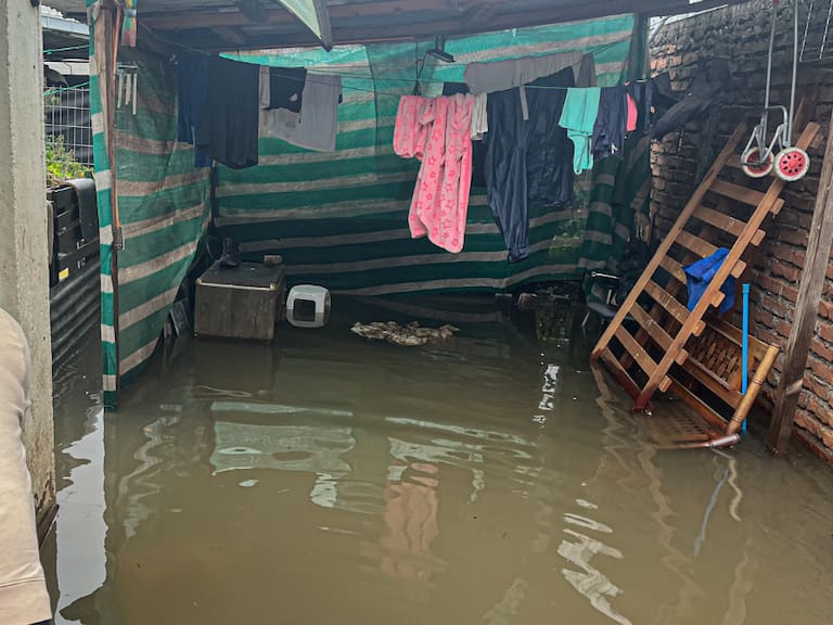 Ministra Javiera Toro