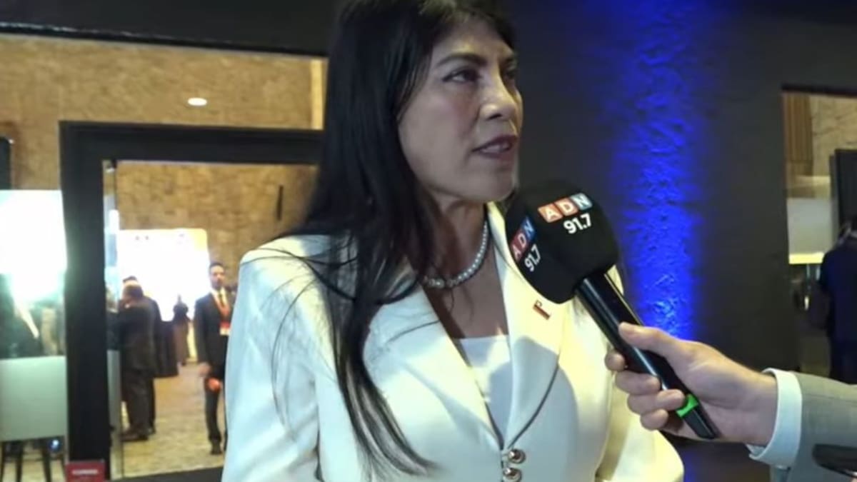 Enade 2026: ministra de Ciencia destaca la IA como prioridad y apunta a la inversión privada para impulsar la innovación