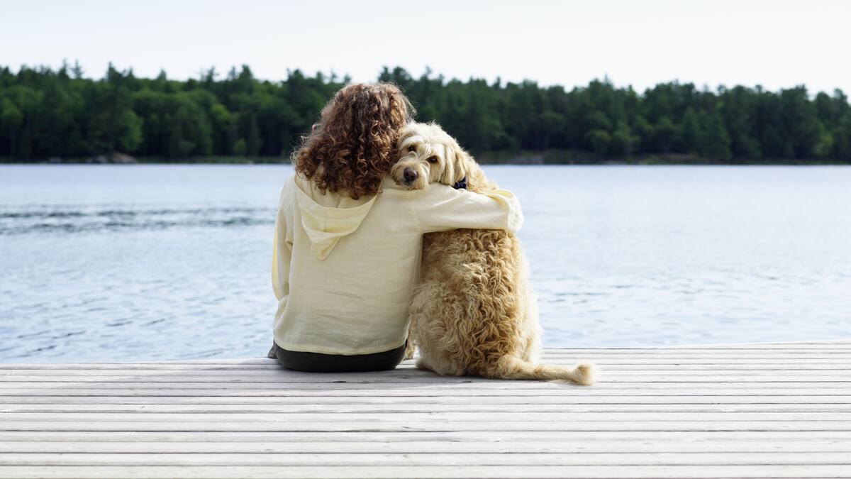 ¿Qué razas de perro viven más años? Conoce las que tienen mayor y menor esperanza de vida