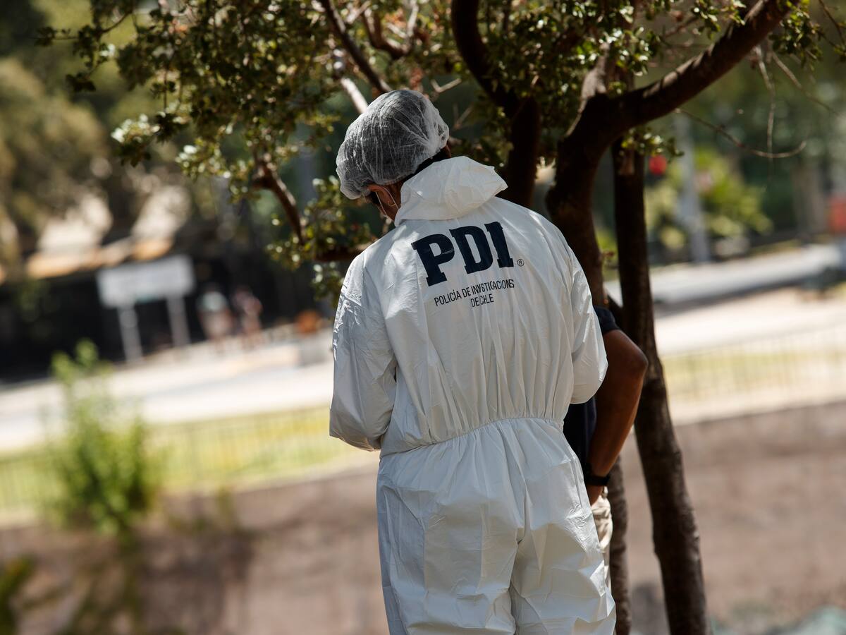 Hallan cadáver mutilado en sitio eriazo en la comuna de La Pintana: sería un hombre y aún no es identificado