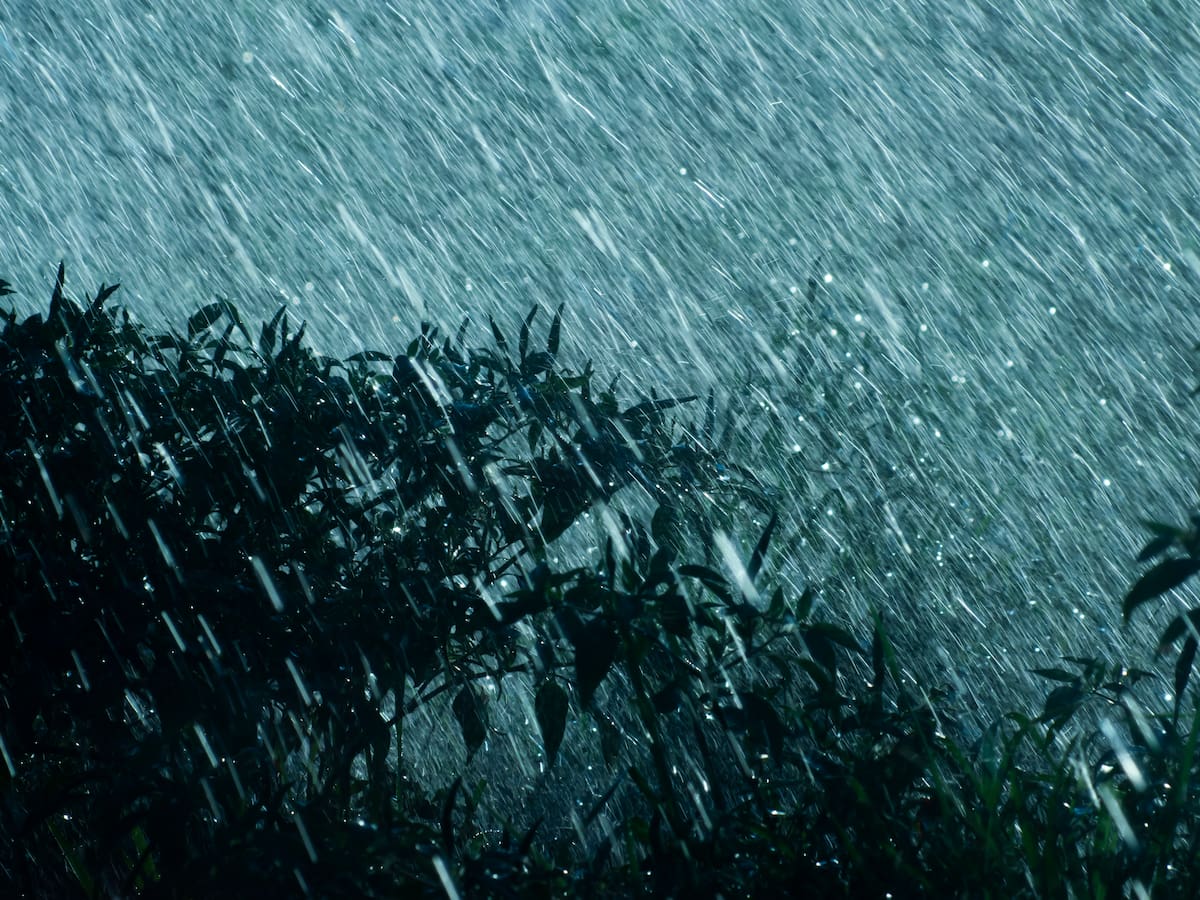 Río atmosférico en Chile: ¿En qué lugar caerán hasta 80 mm de lluvia esta semana?