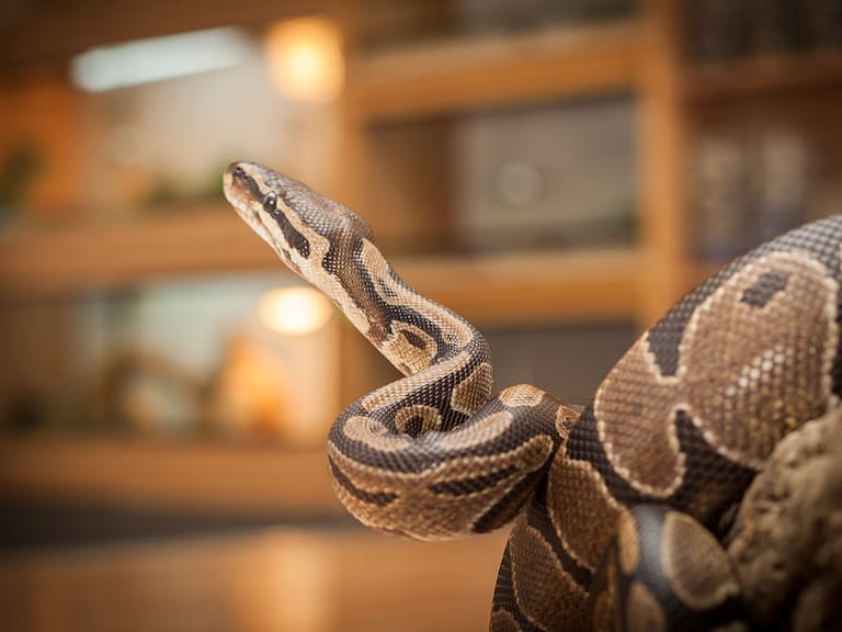 Getty Images - Referencial