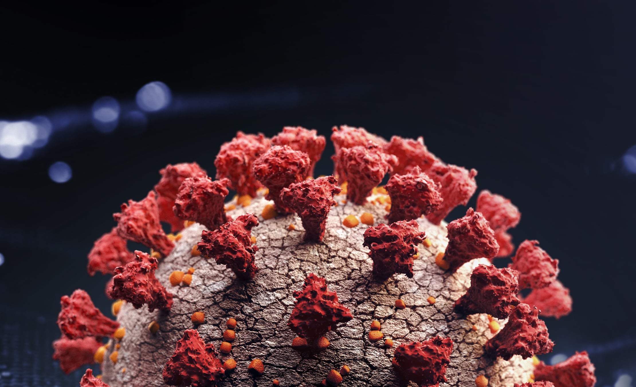 Una imagen de acercamiento del nuevo coronavirus