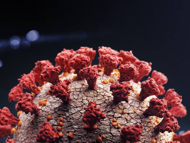 Una imagen de acercamiento del nuevo coronavirus