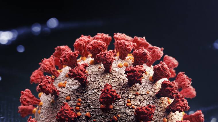 Una imagen de acercamiento del nuevo coronavirus