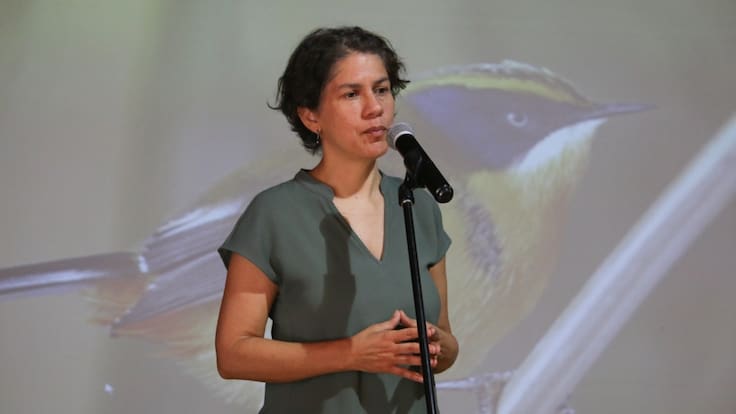 Fallo que reabre caso Dominga: ministra del Medio Ambiente asegura que rechazo al proyecto fue “bajo estrictos criterios técnicos”