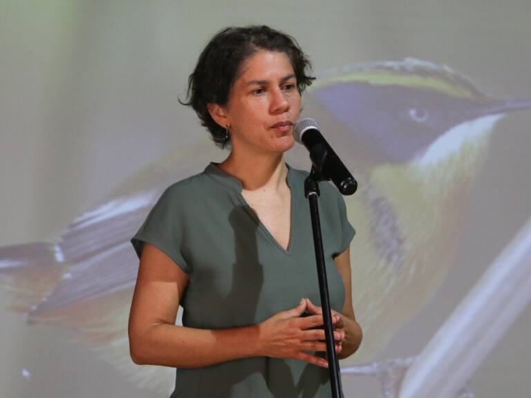 Fallo que reabre caso Dominga: ministra del Medio Ambiente asegura que rechazo al proyecto fue “bajo estrictos criterios técnicos”