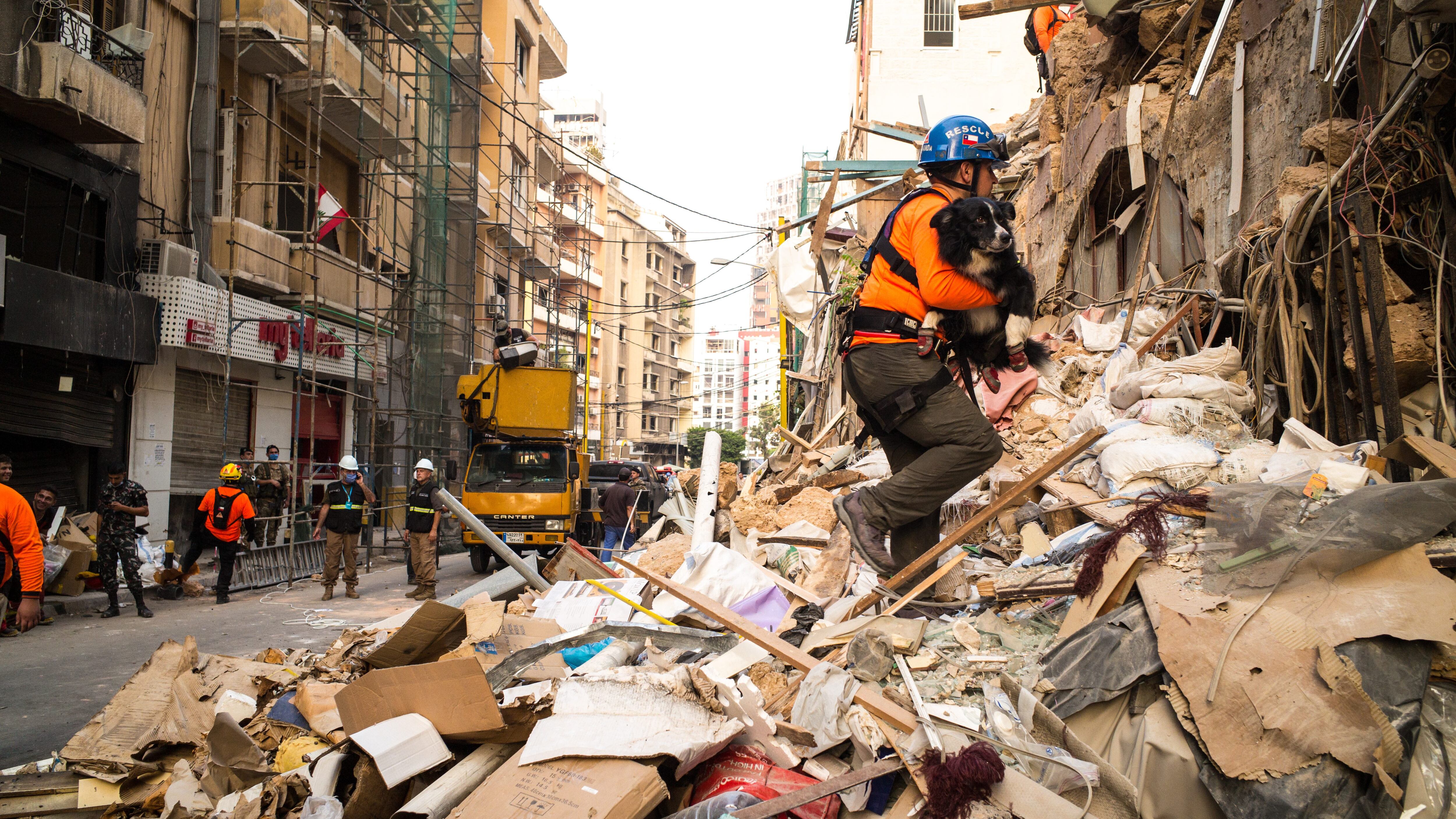 Beirut Topos Chile perro Flash