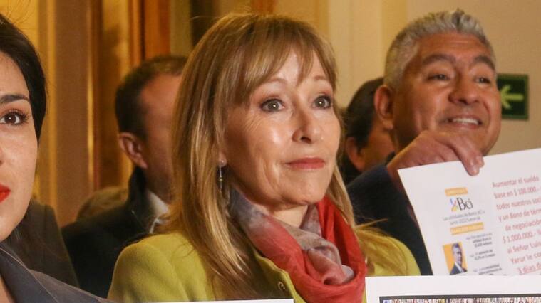 Ana María Gazmuri, 1024x576 jpg ok