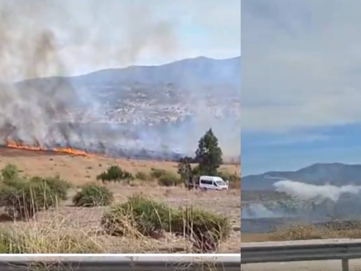 Reportan incendio forestal de alta intensidad y avance rápido en Melipilla