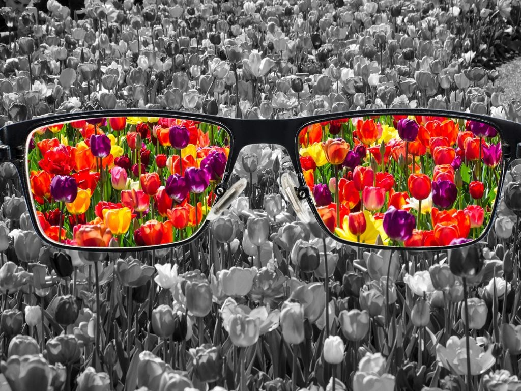 Getty Images | Referencial