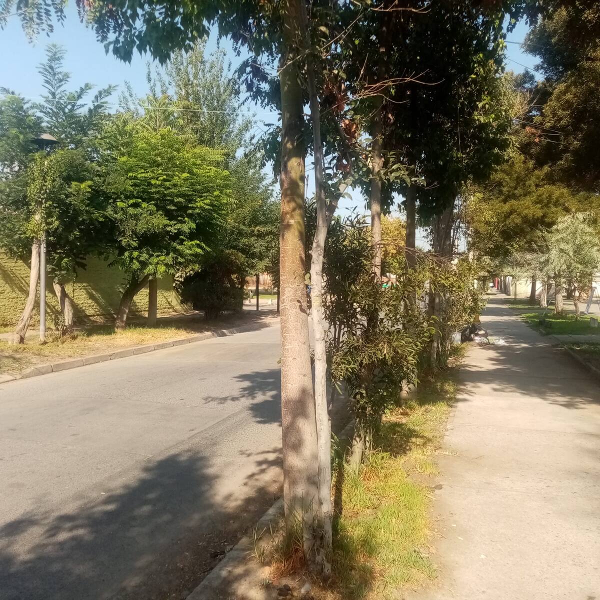 Balacera en La Granja deja a adulta mayor herida de gravedad: vecinos aseguran haber escuchado una ráfaga de disparos