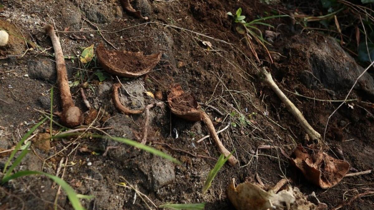 Deslizamiento de tierra tras lluvias deja osamentas humanas expuestas en cementerio de Puerto Montt