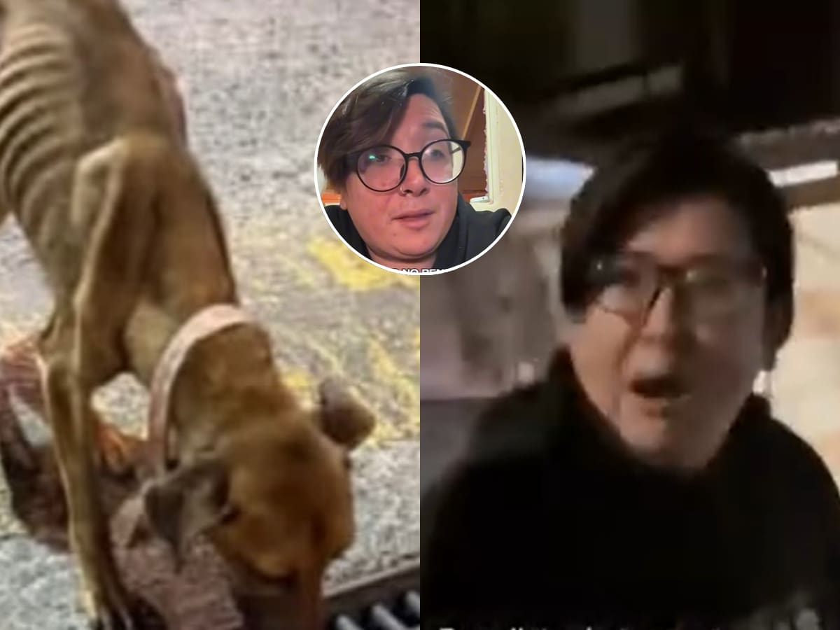 Panelista de TV acusado de maltrato animal rompe el silencio: “Nunca pensé que esta situación era tan grave”