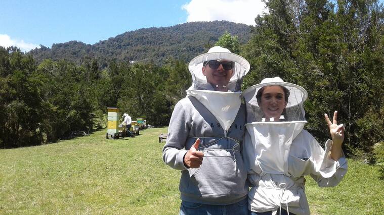 Vito y Pía de Raimapu, mieles de la Patagonia