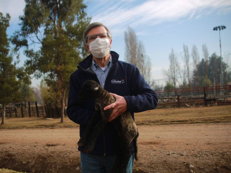 El alcalde Joaquín Lavín