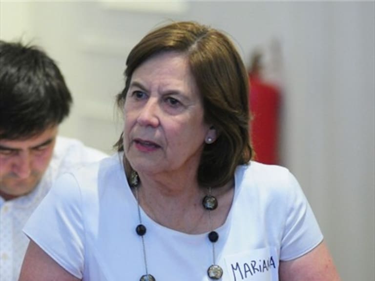 Aylwin por Bolsonaro: Los presidentes de las instituciones democráticas no pueden restarse