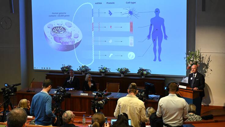 Premio Nobel de Medicina 2024: ¿Cuál es la investigación galardonada y por qué es tan importante?