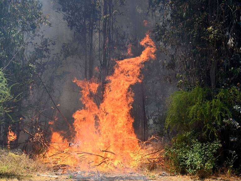Carabineros detiene a tres personas por iniciar focos de incendios