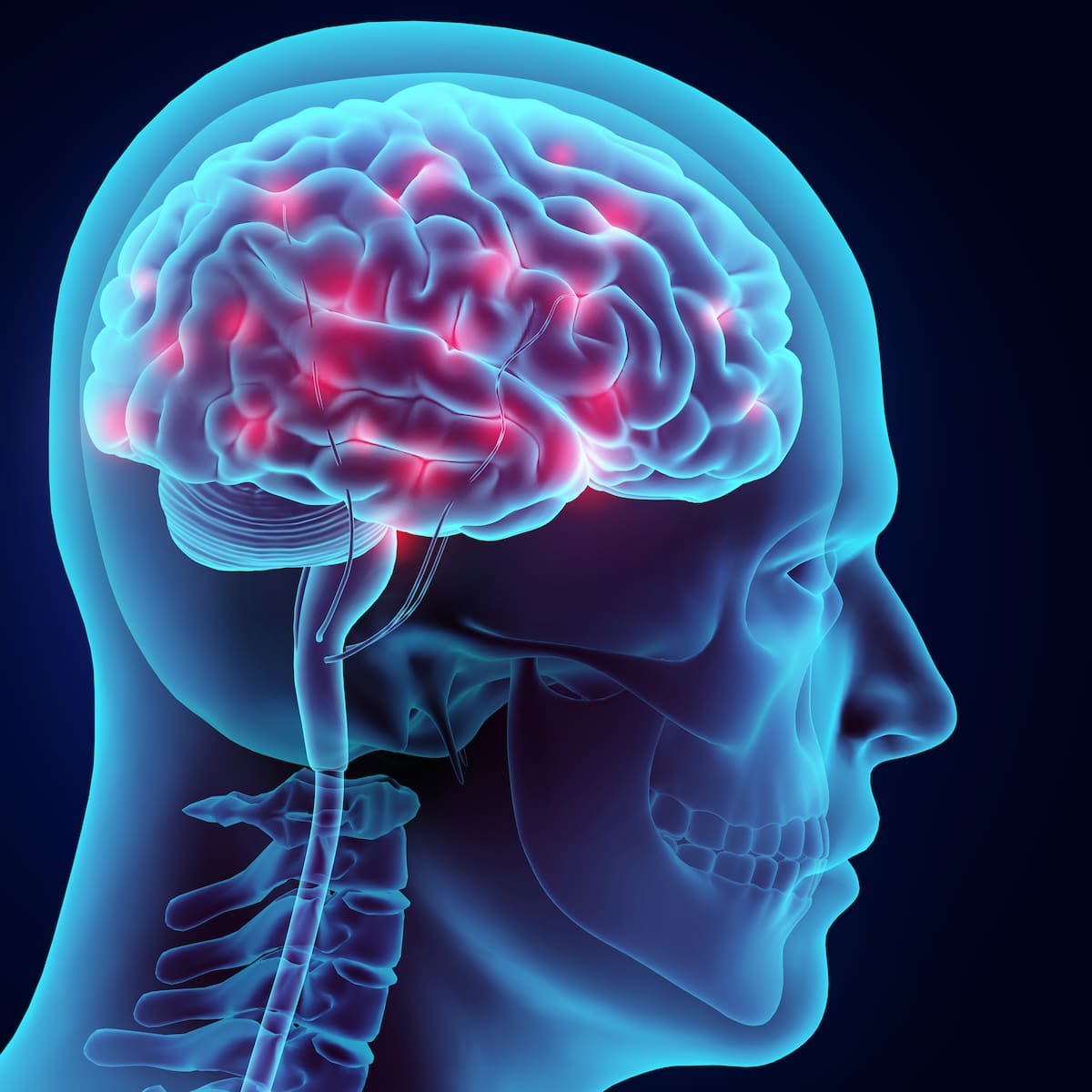 Científicos descubren que el cerebro de la mujer cambia físicamente durante la menstruación