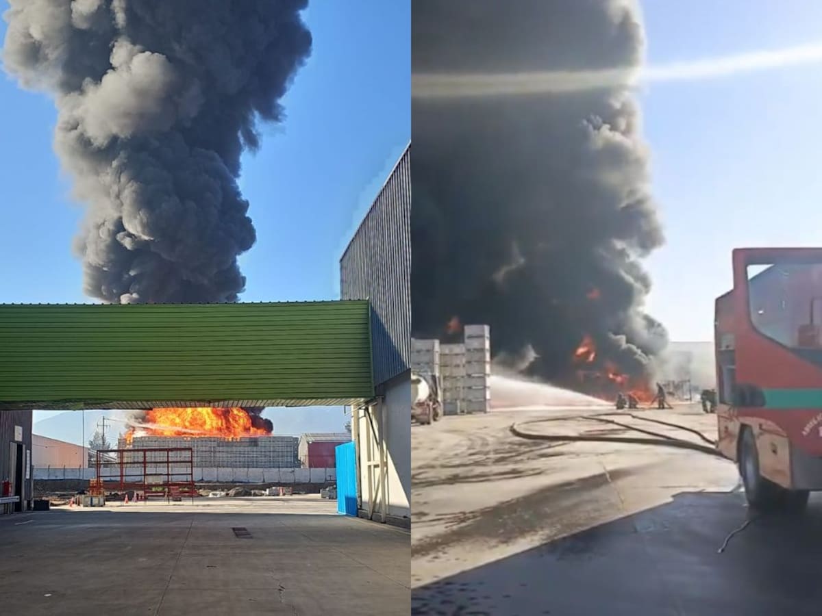 Alerta en Paine por incendio de gran magnitud: fuego afecta bodega de empresa frutícola en Ruta 5 Sur