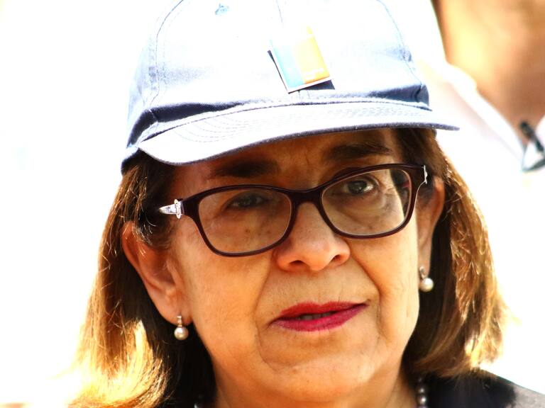 11 de Enero 2020/ SANTIAGOLa Seremi de Salud RM, Rosa Oyarce, , entrega recomendaciones y consejos para prevenir el contagio del Hantavirus, ante inicio de vacaciones o paseos de fines de semana. Durante 2019, fallecieron 17 personas a nivel nacional por causa del virus.
FOTO:MAURICIO MENDEZ/AGENCIAUNO