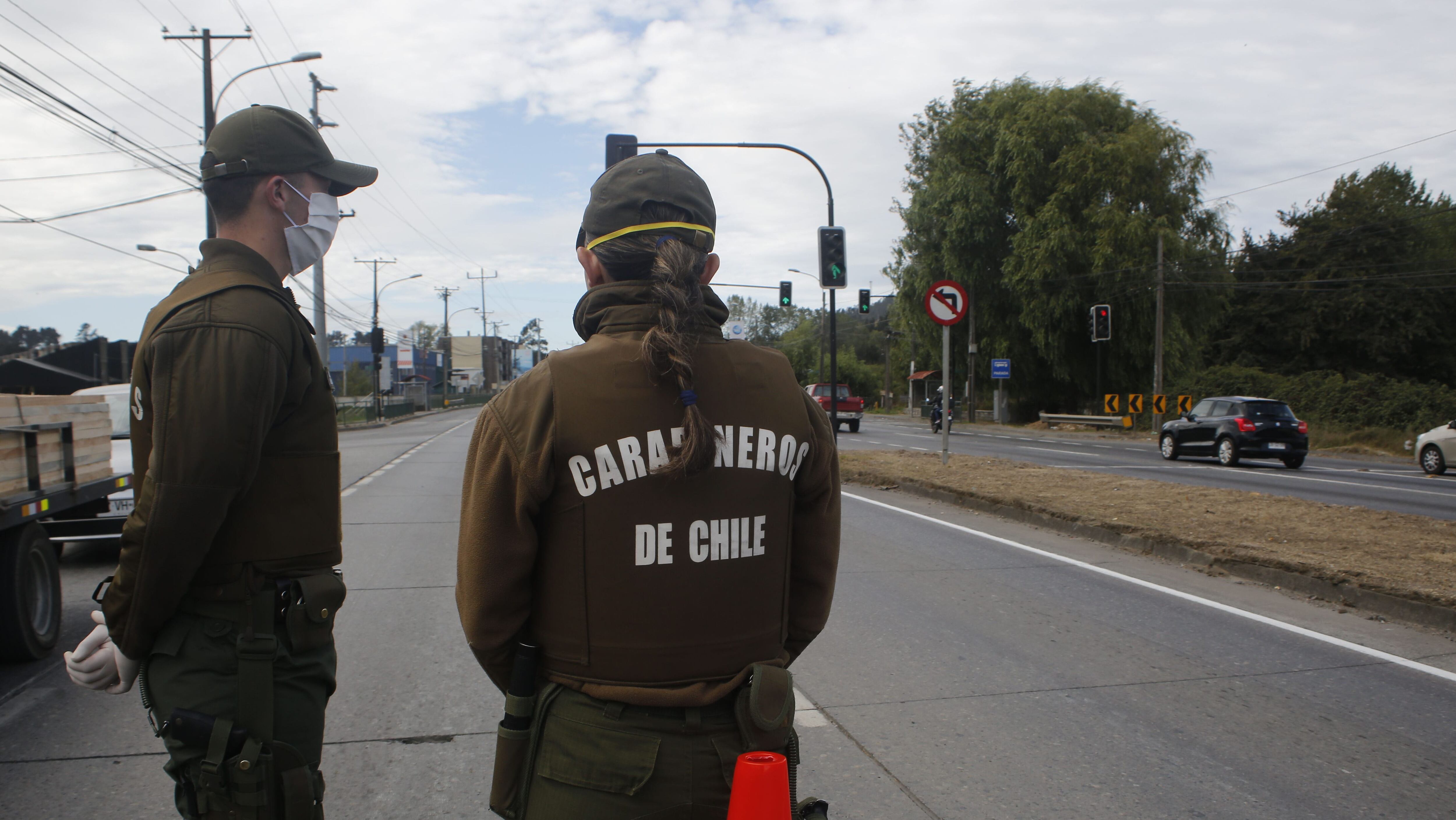 Camión incendiado en Tirúa