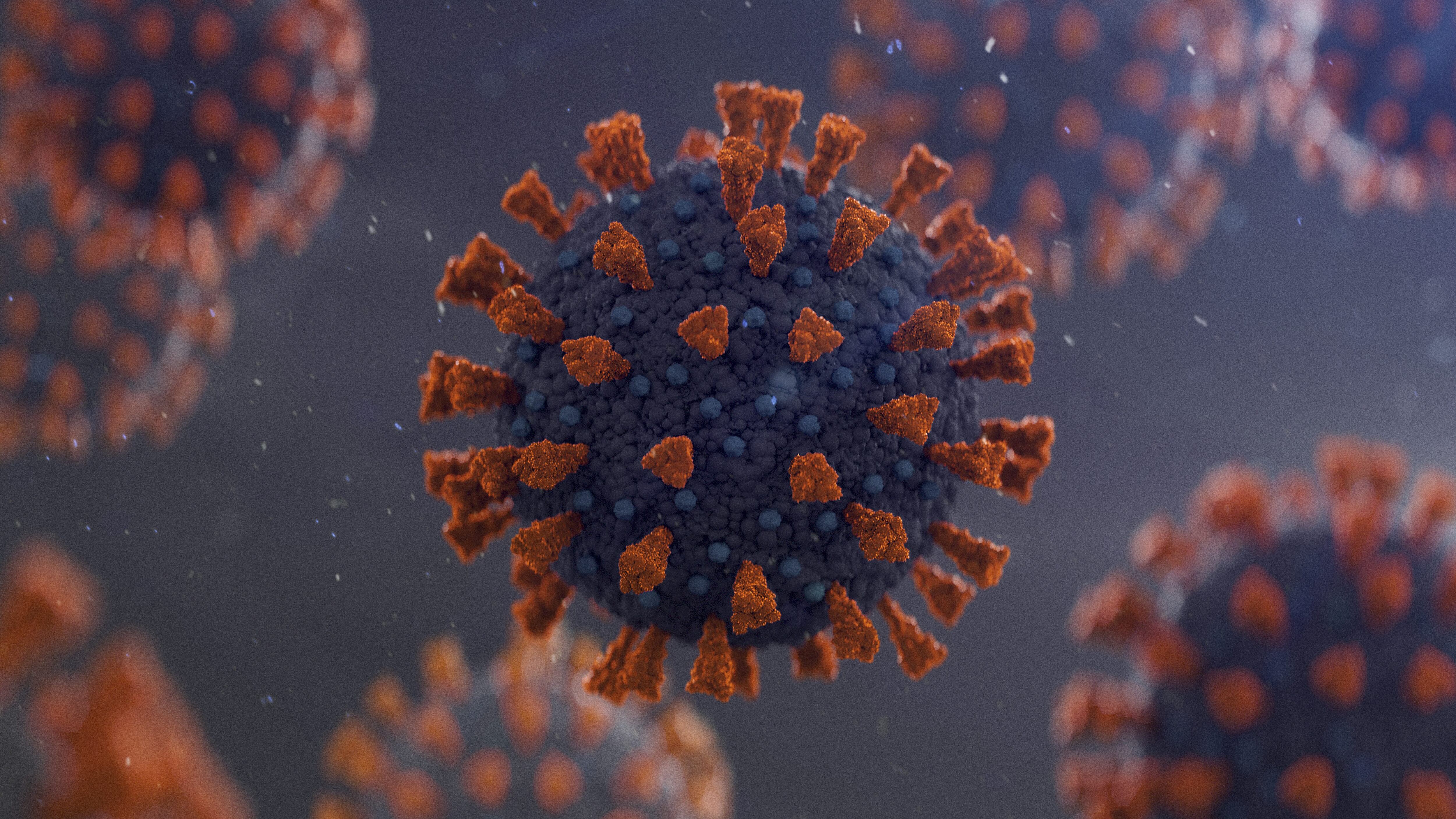 Coronavirus