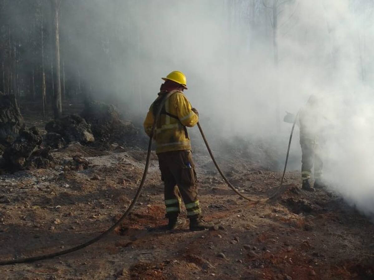 Fiscal regional de La Araucanía e incendios forestales: «Tienen diferentes factores, no es posible atribuirlos solo al conflicto en el lugar»