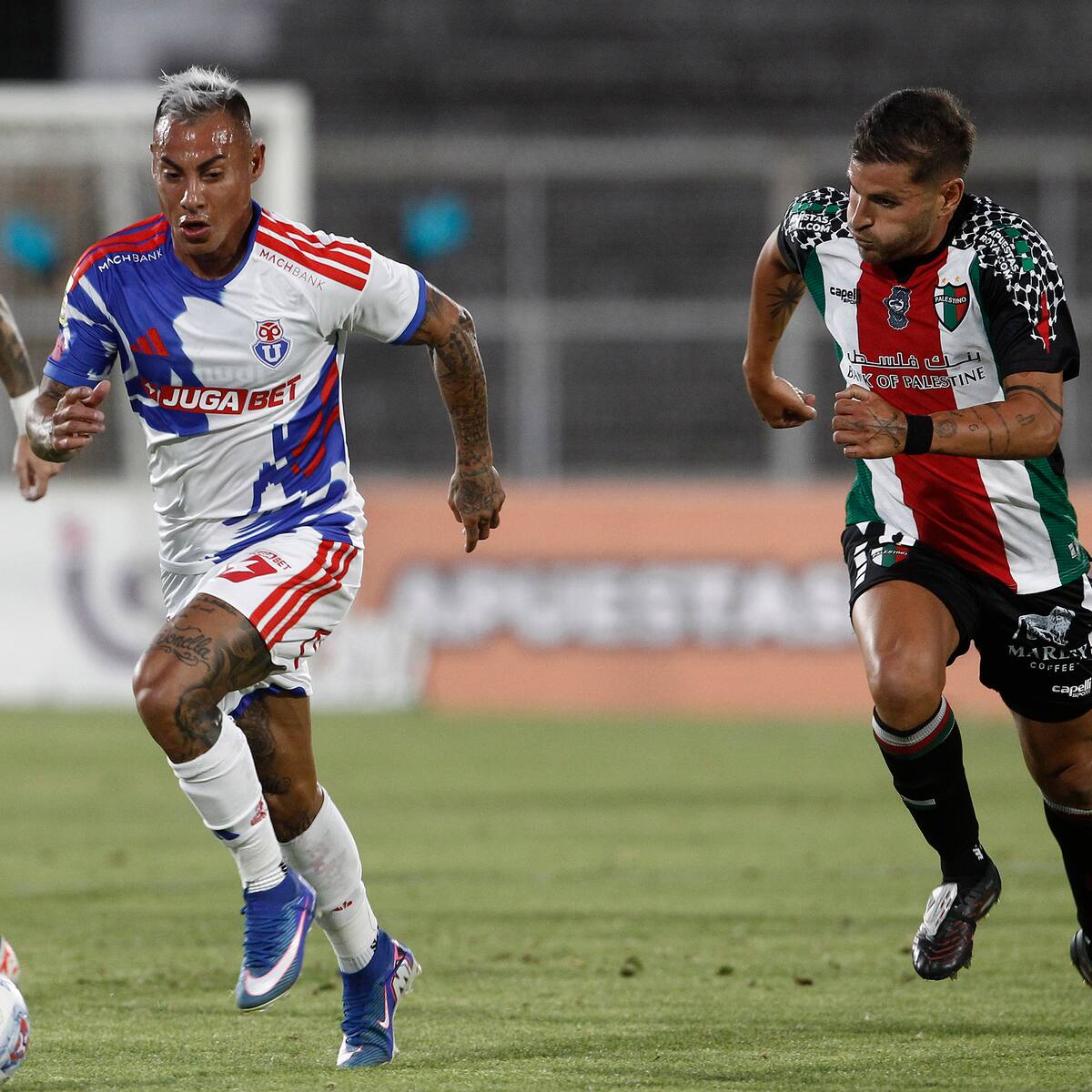 Confirmado: este será el árbitro que dirigirá el duelo entre la U y Palestino por Copa Sudamericana