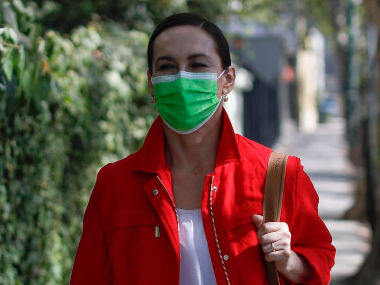 Presidenta de FRVS y defensa de futuro ministro Valenzuela: «A propósito de esa acción y trifulca, se salvan 22 mil hectáreas de bosque nativo»
