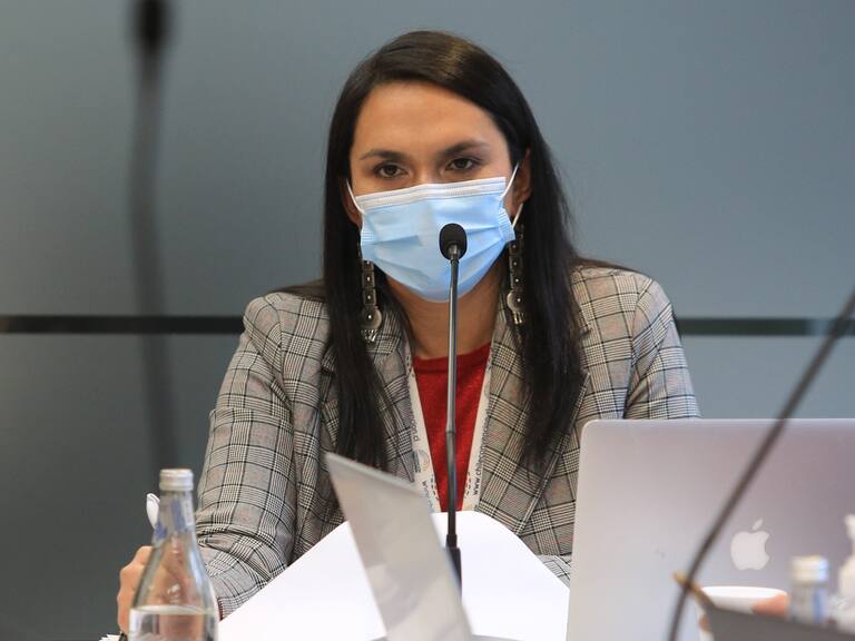 Rosa Catrileo es el segundo caso positivo de covid-19 en la Convención