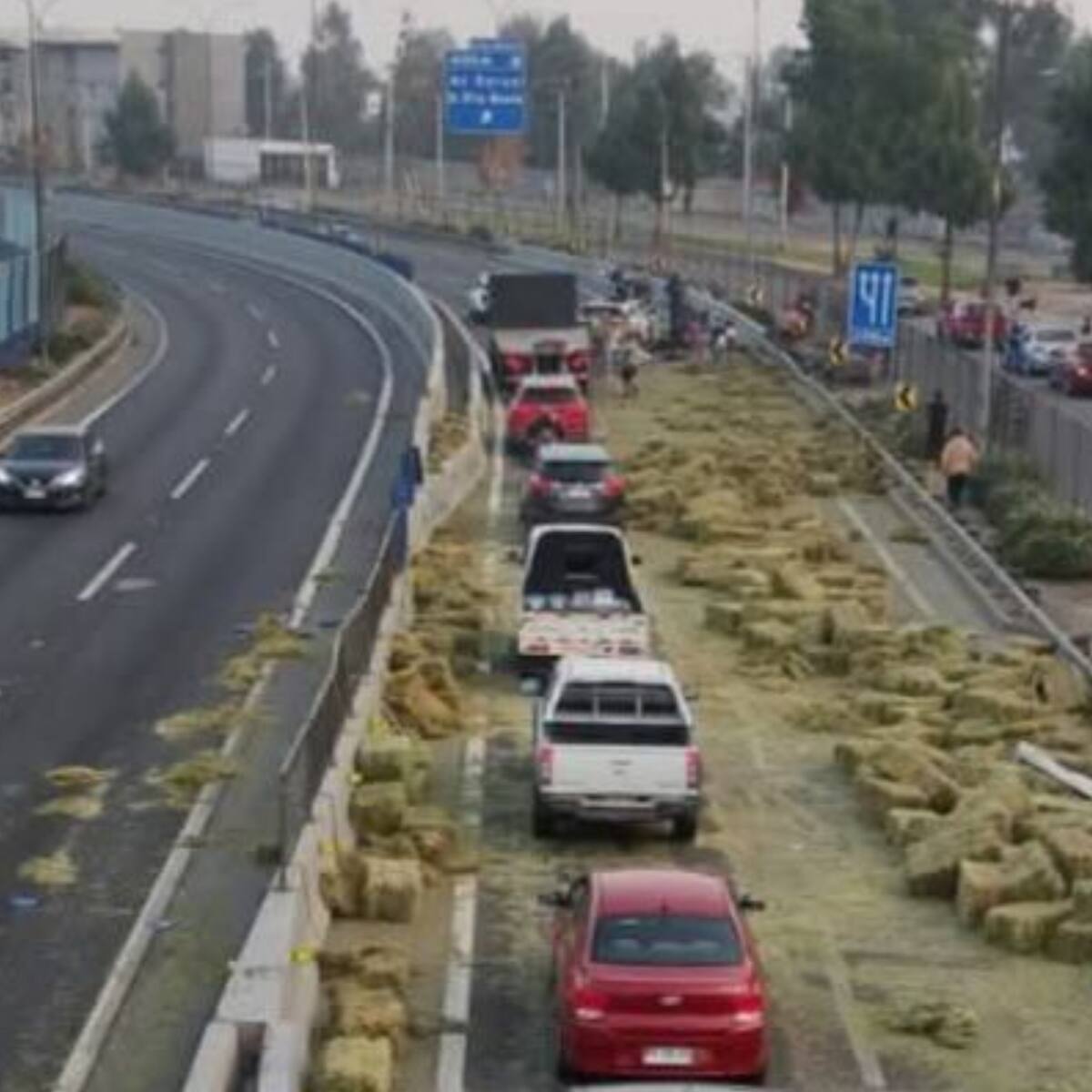 Dejan en prisión preventiva a chofer de camión que perdió su carga y provocó muerte de adulta mayor en Autopista Central