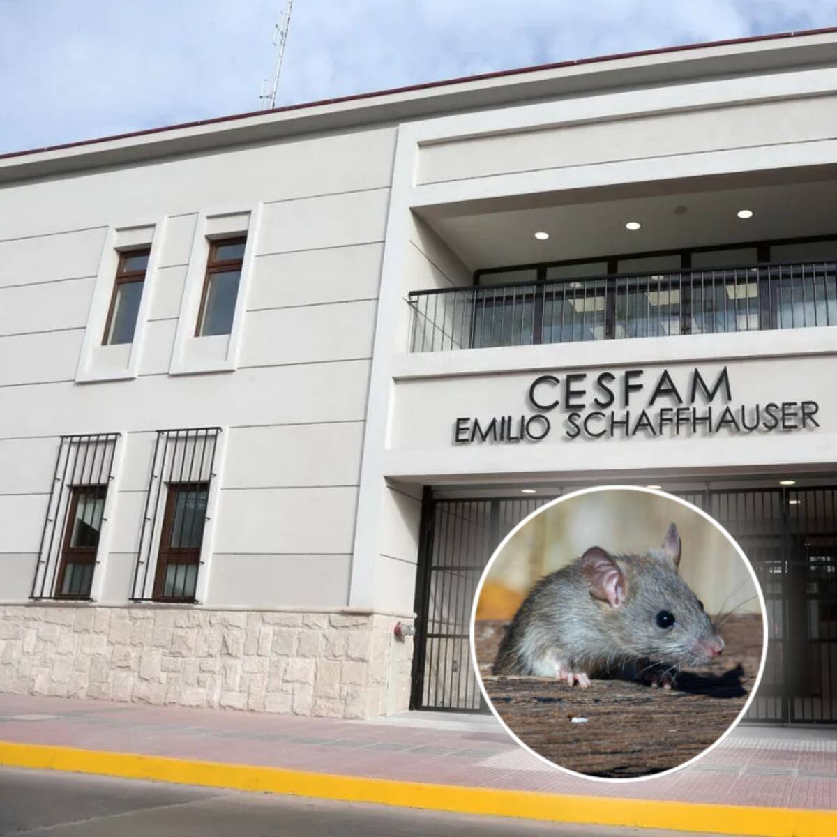 Autoridades descartan caso de Hantavirus en La Serena tras activación de protocolos en CESFAM
