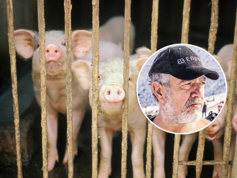 Getty Images REFERENCIAL / Marco Evaristti Instagram