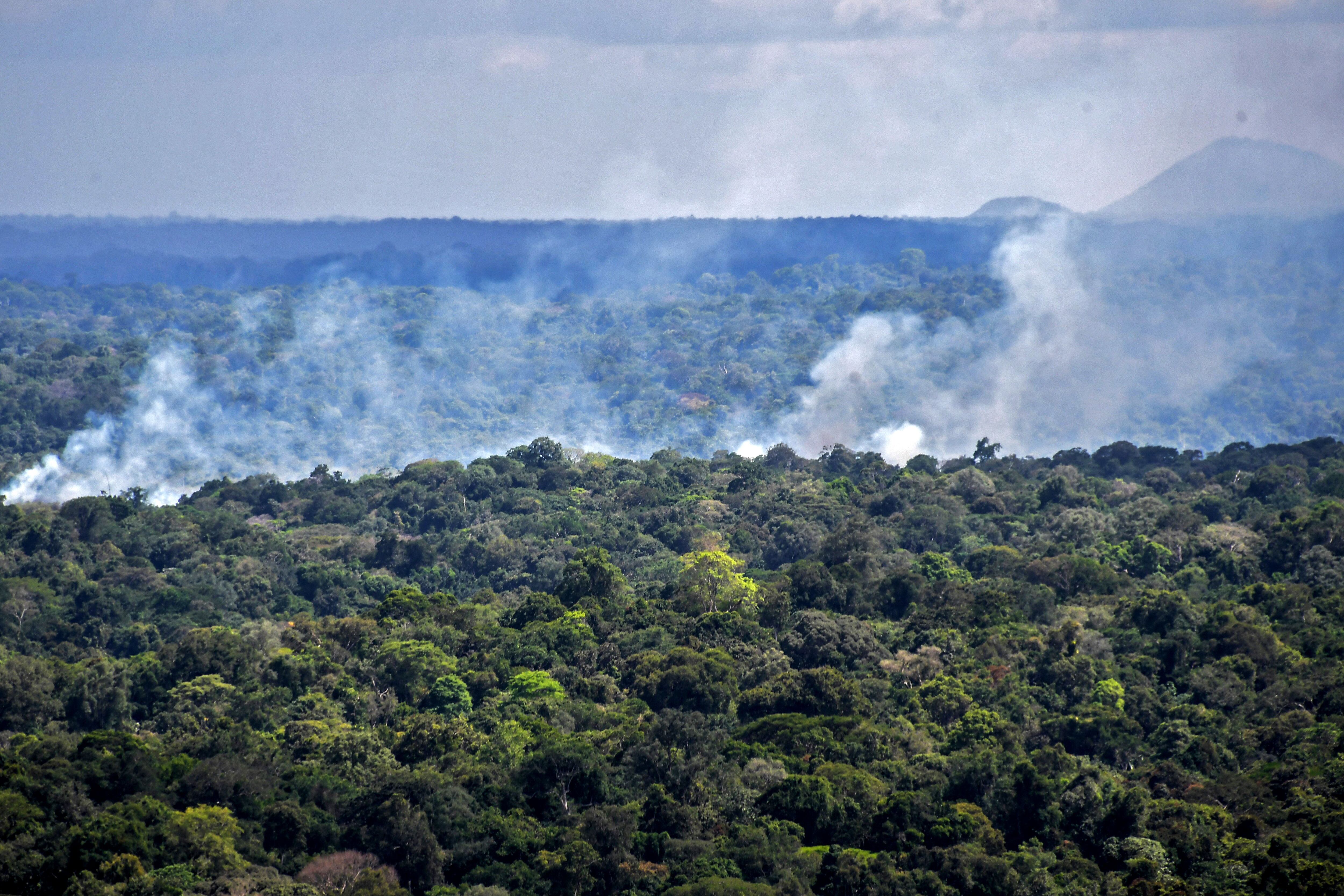 Amazonia comienza a producir CO2 en vez de absorverlo