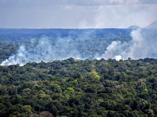 Amazonia comienza a producir CO2 en vez de absorverlo