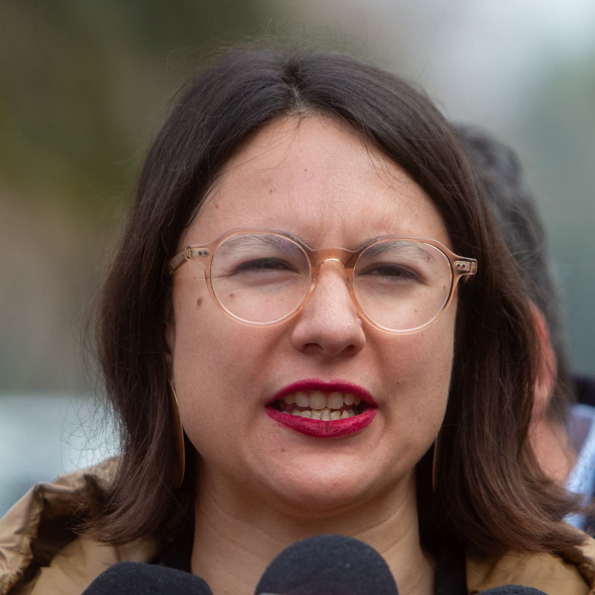 Irací Hassler demanda al Fisco y Contraloría para anular responsabilidad por compra fallida de Sierra Bella