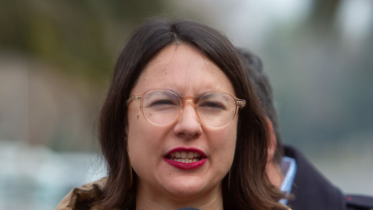 Irací Hassler demanda al Fisco y Contraloría para anular responsabilidad por compra fallida de Sierra Bella