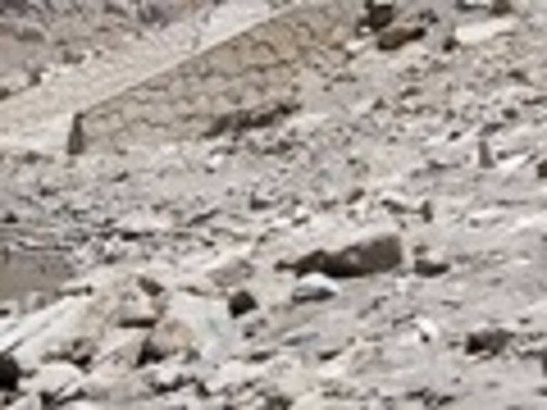 Ministro de Agricultura decretó emergencia agrícola en 11 comunas de la Araucanía