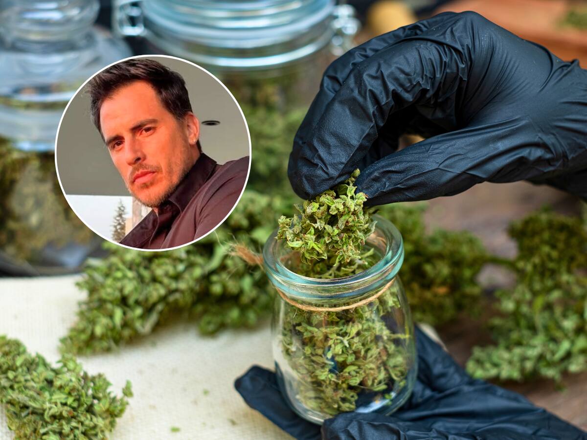 Caso de Camilo Huerta pone bajo la lupa a los dispensarios de cannabis: ¿Qué son, cómo operan y cuántos hay en Chile?